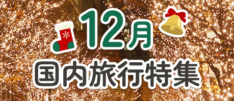 12月 国内旅行 特集ページをみる
