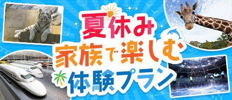 夏休み家族で楽しむ体験プラン