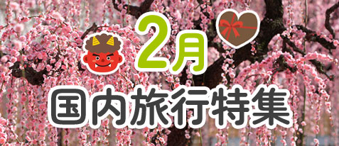 2月 国内旅行 特集ページをみる
