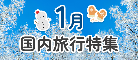 1月 国内旅行 特集ページをみる