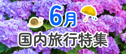 6月 国内旅行 特集ページをみる