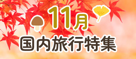 11月 国内旅行 特集ページをみる