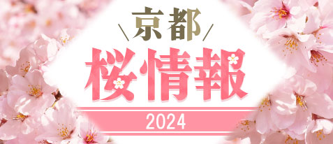 京都桜・花見の名所情報 2023