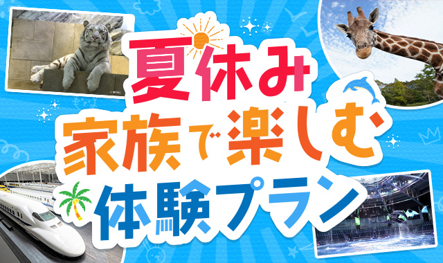 夏休み家族で楽しむ体験プラン