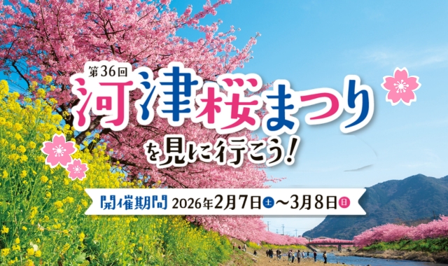 河津桜まつりを見に行こう！