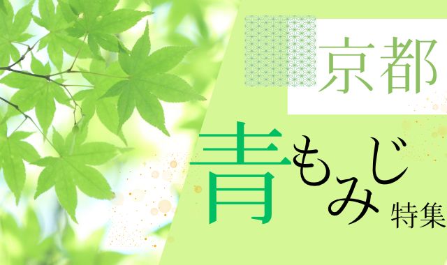京都 青もみじ特集
