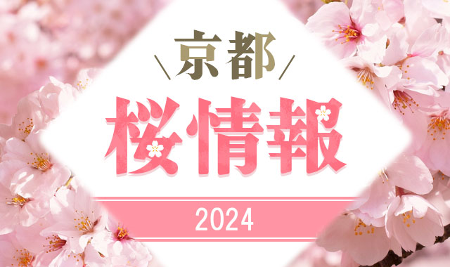 京都の桜・花見名所情報2024　春の京都旅行・ツアー