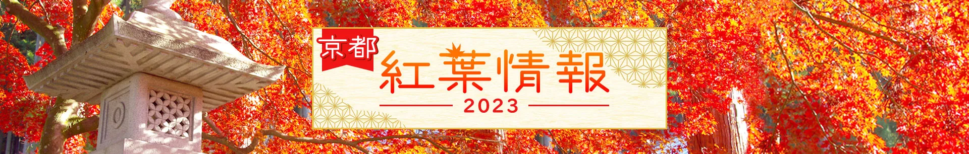 京都紅葉情報2023　秋の京都旅行・ツアー