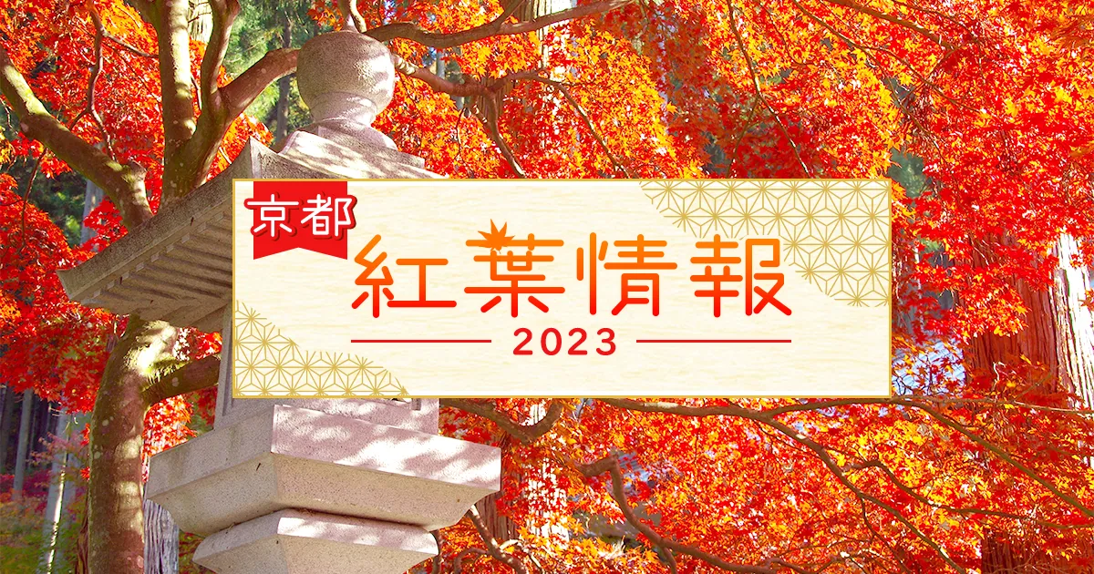京都紅葉情報2023 秋の京都旅行・ツアー【JR東海ツアーズ】新幹線旅行の予約（EX旅パック）