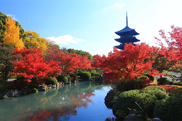 東寺 イメージ