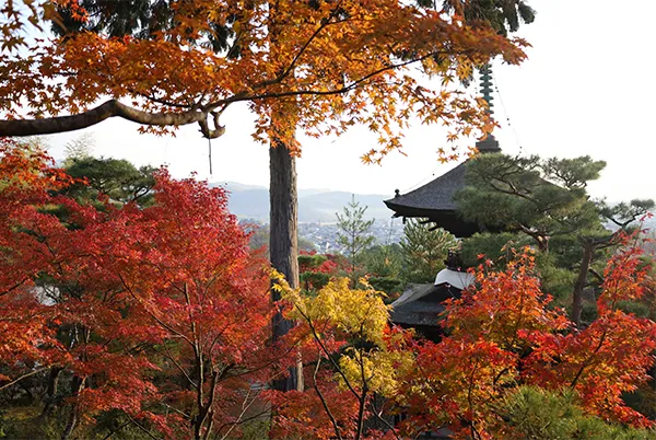 常寂光寺 イメージ