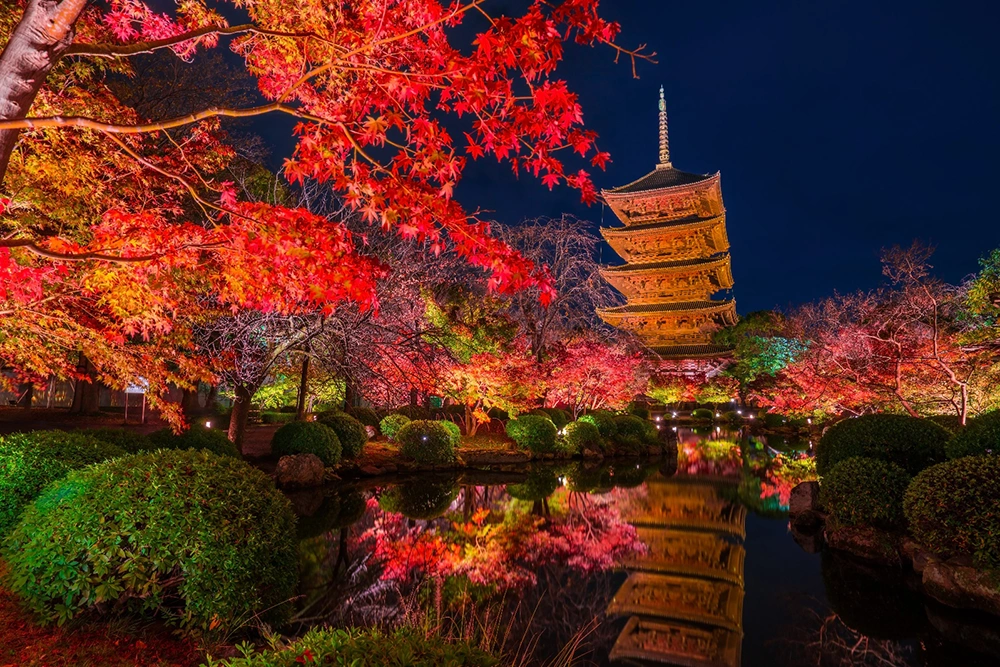 東寺の五重塔と池と紅葉