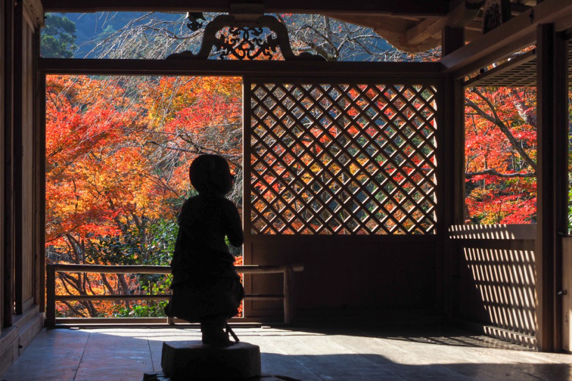 高山寺の縁側と紅葉