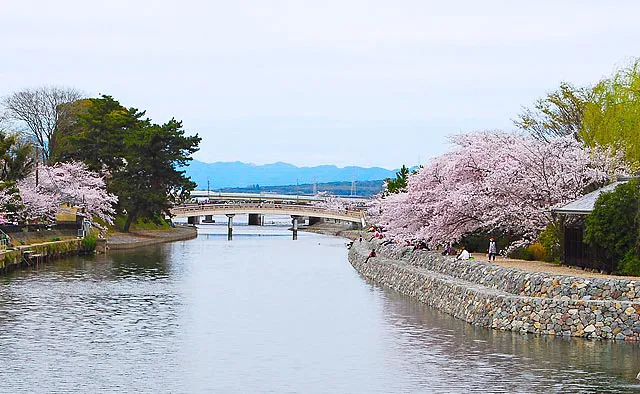 王朝ロマンの世界へと誘う春景色