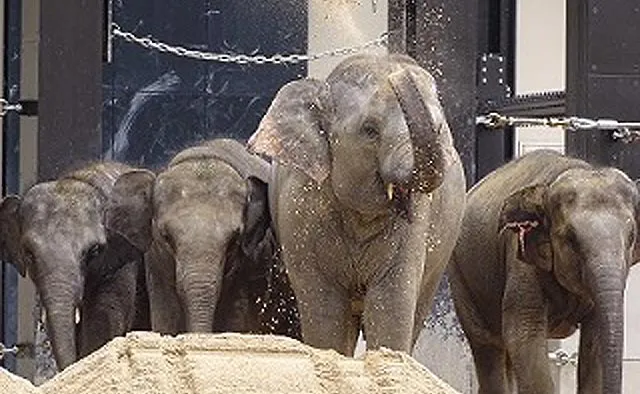 京都市動物園