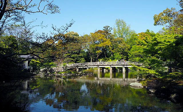 緑の風が吹き抜ける雅やかな茶室