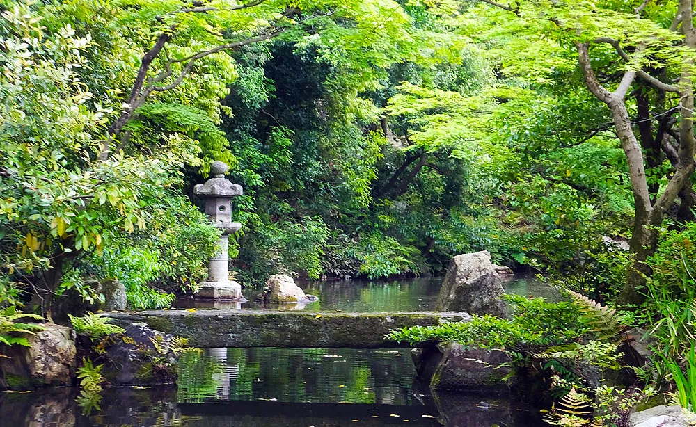 美しき水景色が境内のそこかしこに