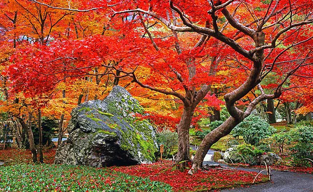 天龍寺塔頭 宝厳院