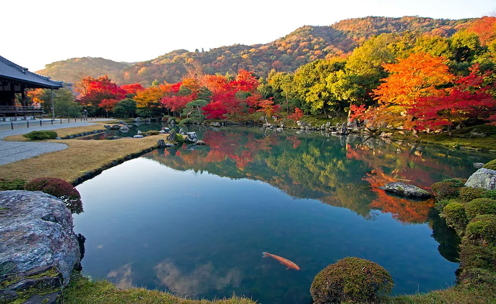 曹源池庭園の秋景色は圧巻の光景