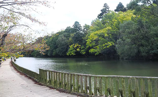 南郷公園