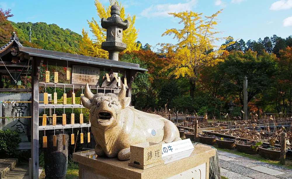 本堂前に鎮座する狛牛「宝勝牛」に勝運を願う