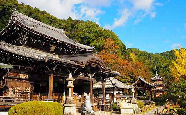 明星山 三室戸寺