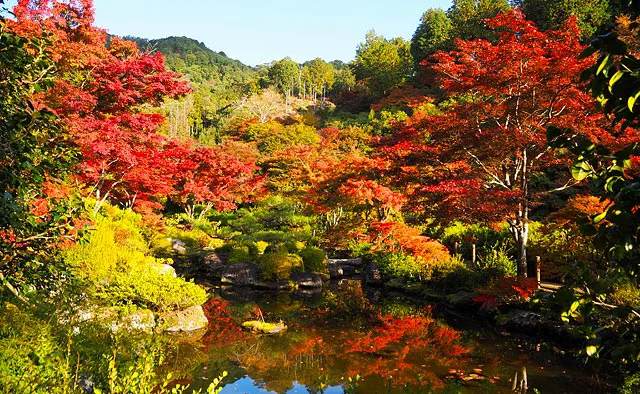 明星山 三室戸寺