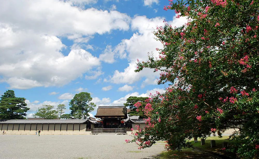 紅の花びらが青空に映える、京都御苑の夏