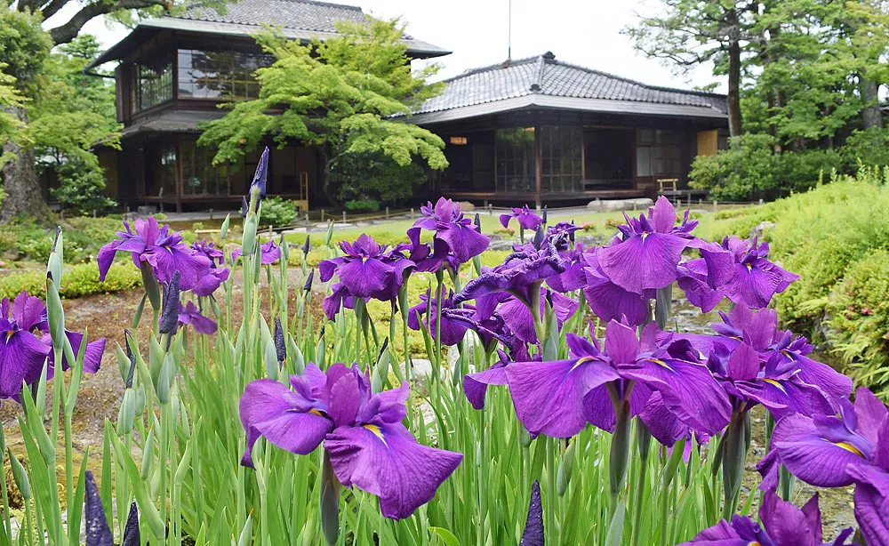 近代日本庭園の傑作で、庭園美と移ろう時間を堪能