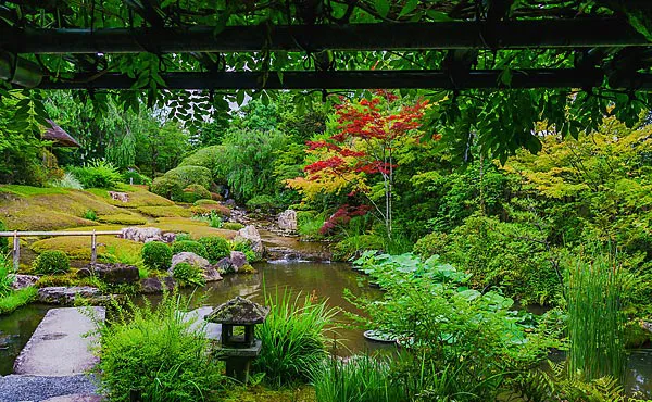 妙心寺 退蔵院