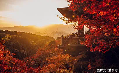 紅葉色づく京都・東山エリアさんぽ