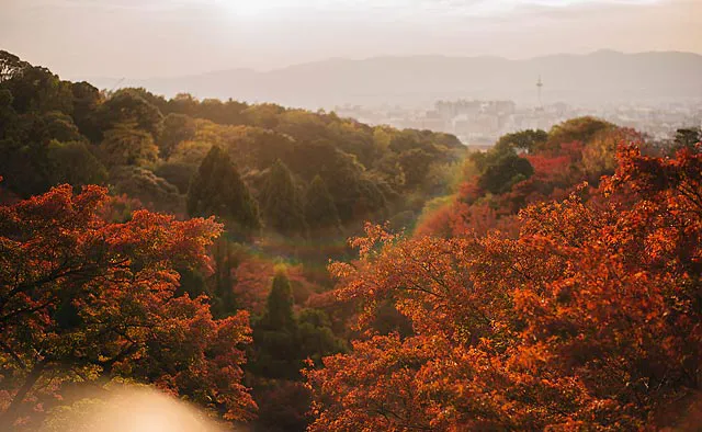 清水寺