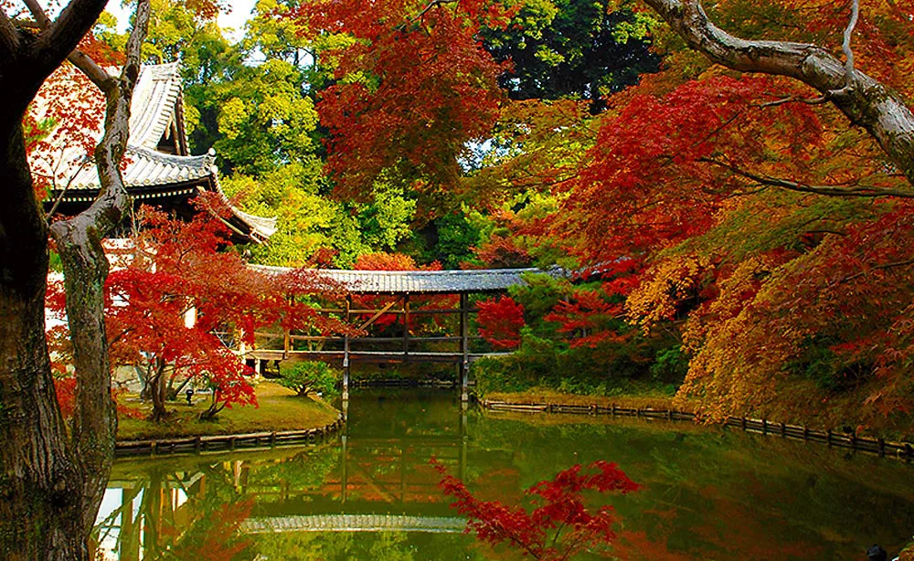 桃山時代を代表する庭園と紅葉が織りなす秋景色
