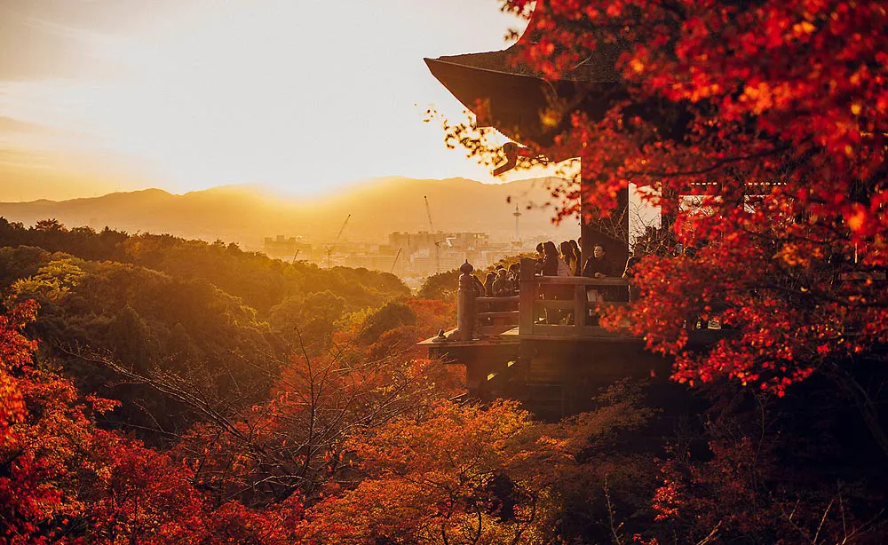 紅葉色づく京都・東山エリアさんぽ