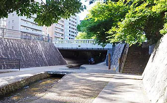 「晴明神社」まで徒歩約11分（約900m）