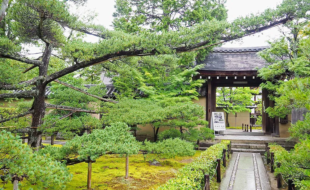 大徳寺 大仙院：一の門に通じる参道と門前庭。左手の立派な松は、皇太子時代の平成天皇が植えられたものです