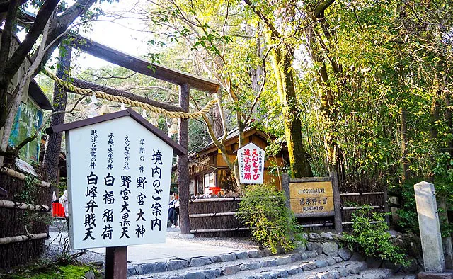 竹林の小径：付近にはえんむすびの神様として知られる野宮神社があります。散策途中にぜひ立ち寄ってお参りしましょう