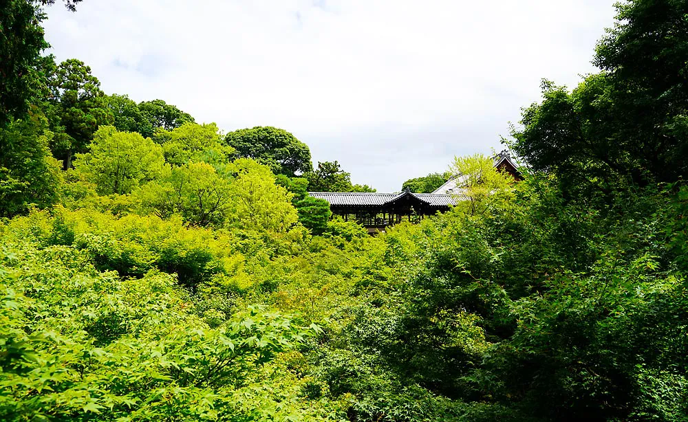 東福寺：渓谷 洗玉澗を渡るため1380年に春屋妙葩が架けた橋廊「通天橋（つうてんきょう）」