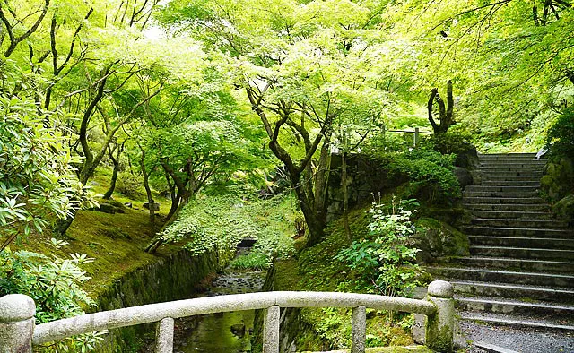 東福寺：通天橋を進むと渓谷 洗玉澗へと降りていくことができます。小川が流れる緑の渓谷は、夏にぴったりな清涼空間