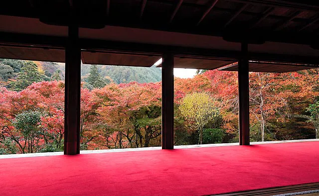 高山寺：石水院の南面は柱と蔀戸、広縁によって額縁のように切り取られた景色を楽しむことができ、欄間には後鳥羽上皇の勅額「日出先照高山之寺」があります