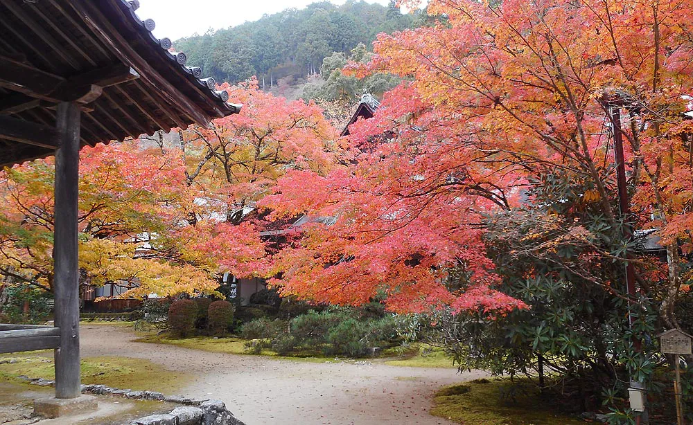 西明寺：江戸時代前期に移築された客殿。秋には特別公開されます