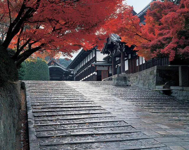 金戒光明寺：この寺院が京都守護職の本陣に選ばれた理由は、御所を始めとした京都の要所に近く、1,000名の軍隊が駐屯できる広大な敷地があり、城構えの構造であったことから。重厚な石畳と紅葉が趣深いコントラストを生み出します