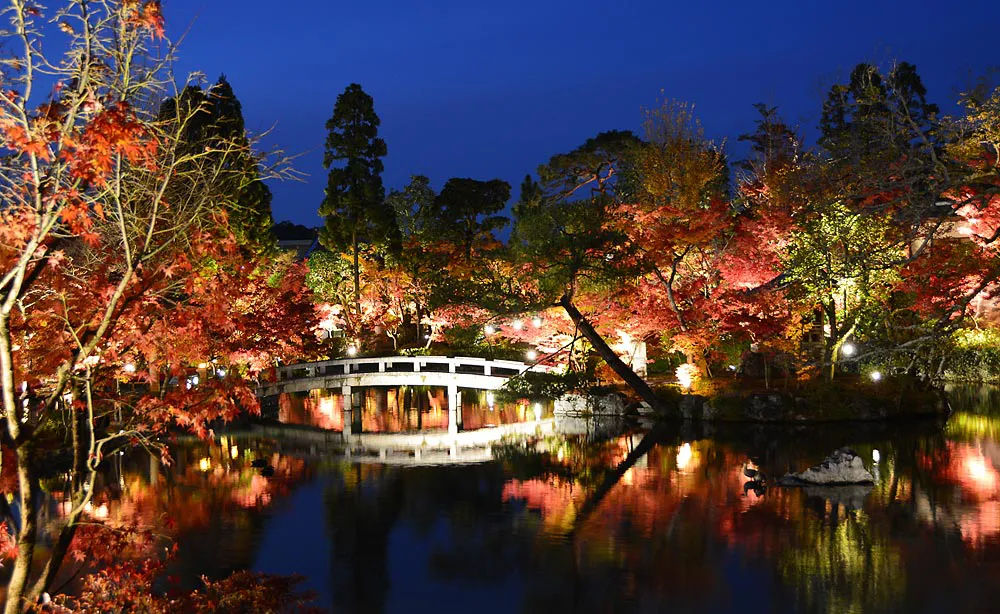 永観堂：平安時代より文化人たちに愛される永観堂の秋景色。紅葉ライトアップでは一際鮮やかな光景が広がります