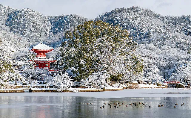 大覚寺：周囲約1kmの日本最古の人工の林泉「大沢池」など、大覚寺には見どころが尽きません。タイミングがよければ冬しか見ることのできない雪の白化粧を楽しむことも