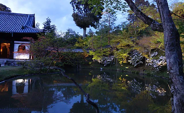 高台寺：小堀遠州作、池泉回遊式庭園「高台寺庭園」。特に鏡のような「臥龍池（がりょうち）」の水面に映り込む景色は幻想的。池の周りの石楠花が咲く4月中旬からがおすすめです