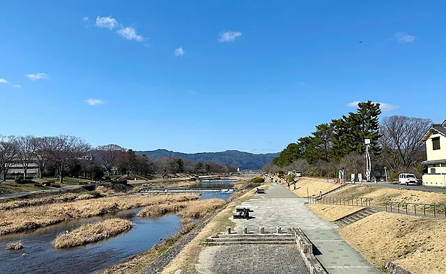 半木の道：河川敷に降りるとベンチがあるので、先に軽食やドリンクを買っておいてここで休憩するのもおすすめです