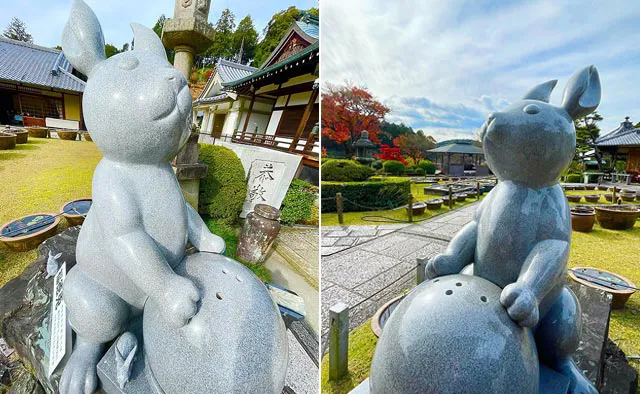 三室戸寺：本堂前には今年の干支であるウサギの狛犬ならぬ狛兎が安置されています。兎の抱いた球の中にある、卵型の石が立てば願いが通じるとされます