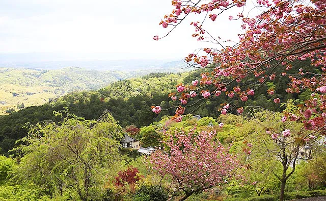 善峯寺：境内一円に広がる回遊式庭園は、大正から昭和初期にかけて七代目小川治兵衛が基礎を築いたもの。随所で京都市街を一望できる眺望が楽しめます