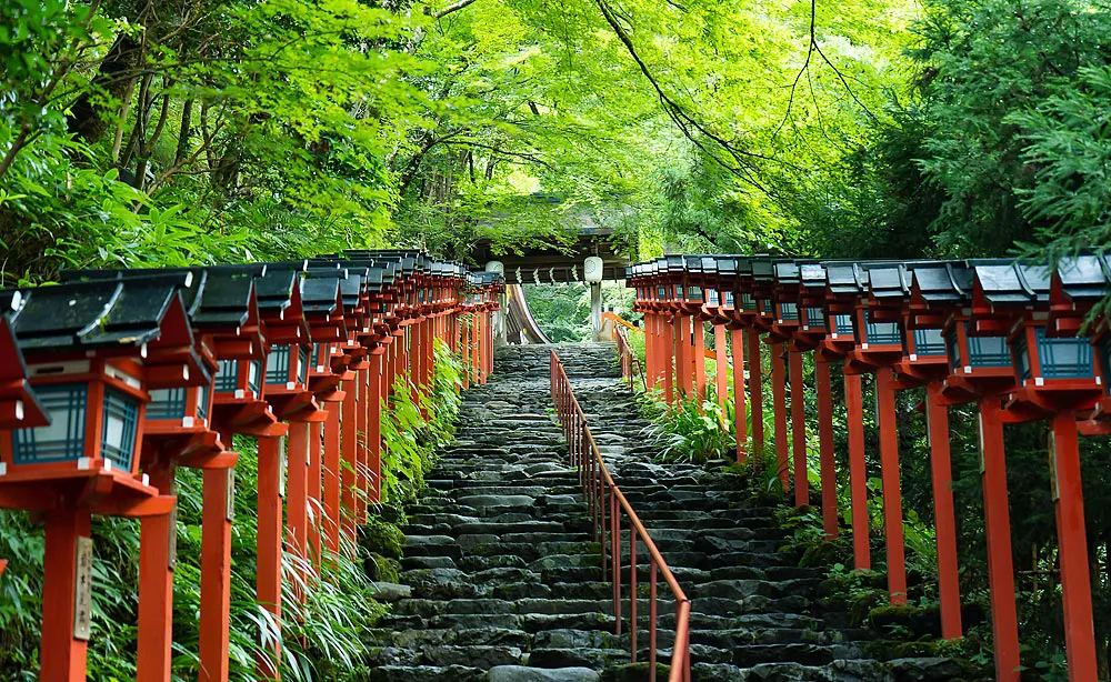 貴船神社：本宮へと続く石段を彩る新緑と春日灯篭