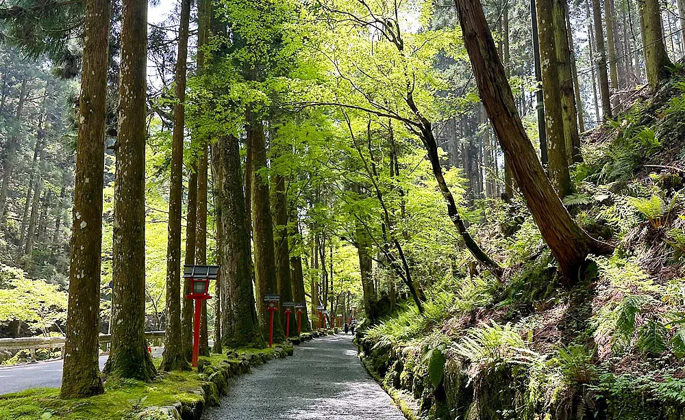 貴船神社奥宮：本宮から800mほど北にある貴船神社創建の地「奥宮」へと続く参道